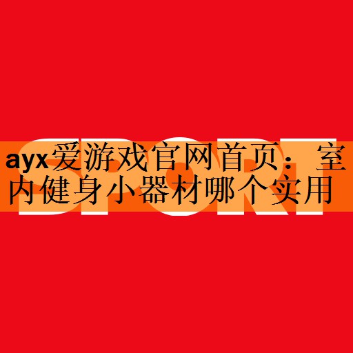 <strong>ayx爱游戏官网首页：室内健身小器材哪个实用</strong>